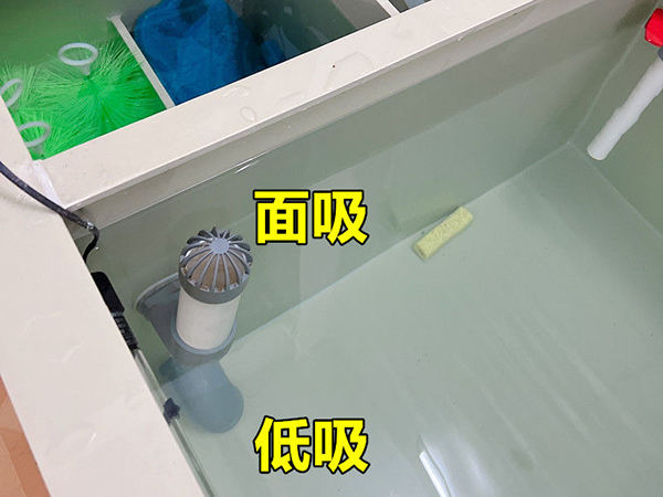 暂养池